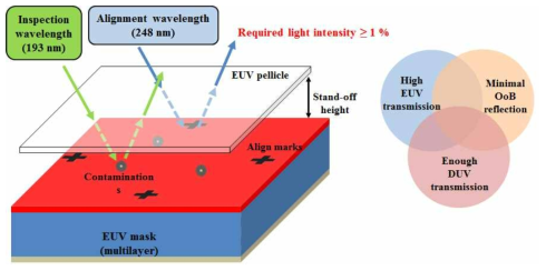 EUV 펠리클의 요구 조건