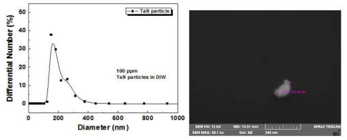 TaN 입자 크기 측정 결과
