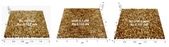 메가소닉 세정공정 후 Ru 표면 조도 변화 평가 결과