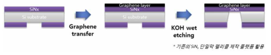 그래핀을 포함한 복합구조체 펠리클 제작 모식도