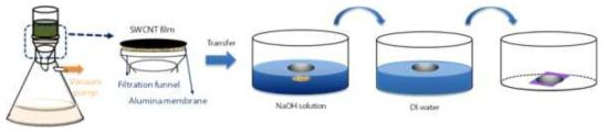 복합구조체 EUV 펠리클 제작을 위한 CNT 전사 실험 모식도