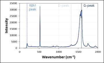 Raman spectroscopy 분석을 통한 CNT 전사 여부 확인