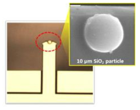 미세 입자의 접착력 평가를 위한 AFM probe tip 제작