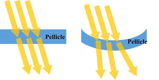 펠리클 처짐에 의한 빛의 불 균일한 투과