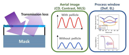 펠리클 투과율 손실로 인한 패터닝 이미지 변화 및 공정 여유도 변화