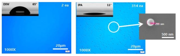 Ru 표면에 IPA를 이용한 입자 오염 및 DIC 모드를 이용한 PSL 300 nm 입자 관찰 모습