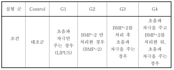 외부자극 및 BMP-2 처리시점에 따른 실험계획