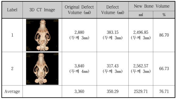 3D CT Image 분석을 통한 신생 골 부피 측정 결과