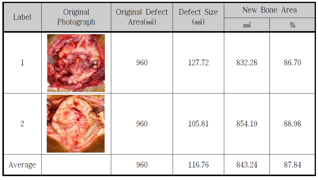 3D CT Image 분석을 통한 신생 골 부피 측정 결과-1