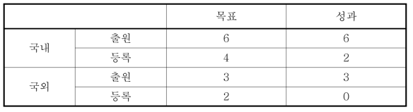 특허출원 목표 및 성과 내역