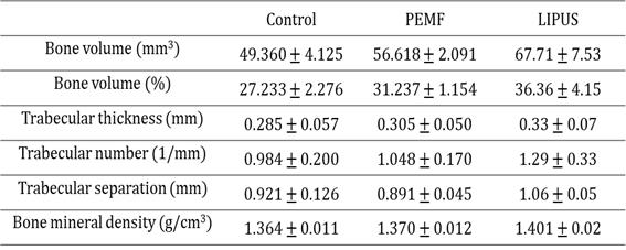 PEMF/LIPUS 자극에 따른 골 형성효과 결과