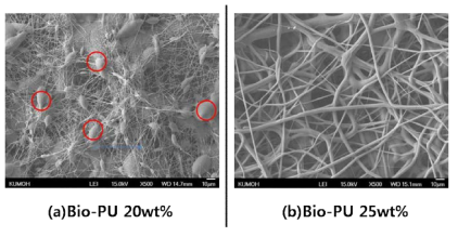 농도에 따른 전기방사 시료의 FE-SEM 이미지