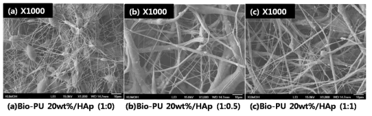 Bio-PU 20wt%의 표면 FE-SEM 이미지