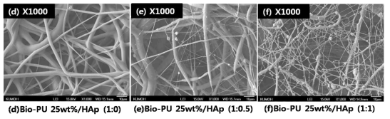 Bio-PU 25wt%의 표면 FE-SEM 이미지