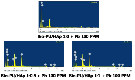 중금속 흡착 기능성 필름의 EDS 분석 결과