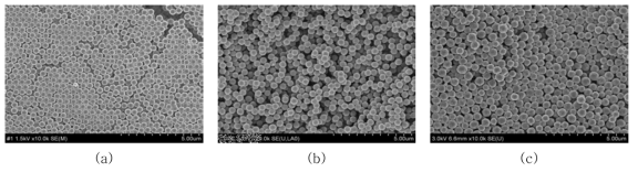 (a) PMMA (b) CL 15, (c) CL 22의 SEM 이미지