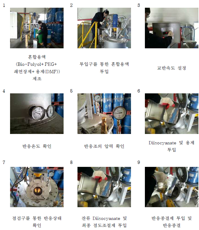Pilot 합성설비를 이용한 Bio-PU수지의 제조 공정도