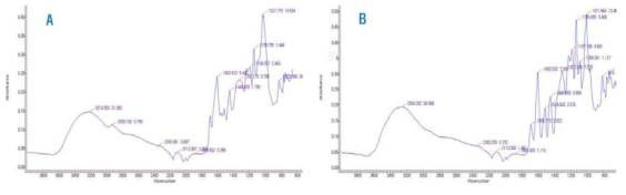 카테킨의 순도에 따른 FT-IR Spectrums[A; C-50%, B; C-98%]
