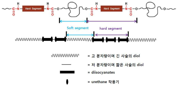 폴리우레탄 주 사슬내의 연질 세그먼트와 경질 세그먼트의 1차원 구조