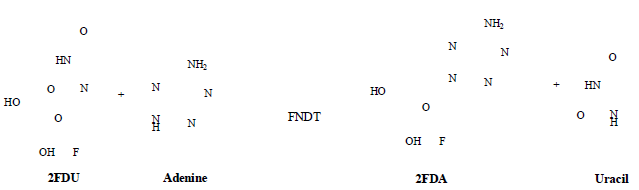 2FDA 개발 scheme