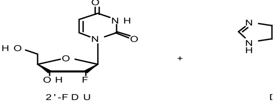 2FDG 개발 scheme