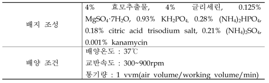 FNDT-pFRPT/DH5α의 1L 배양 조건