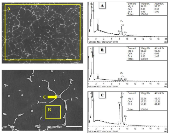 ZC51 합금의 SEM관찰 및 EDS분석 결과