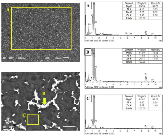 ZA54 적용 backcover 전자현미경 관찰 및 EDS 분석 결과