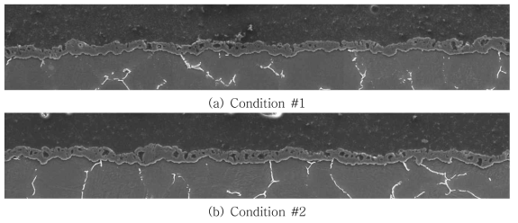 표면처리 조건에 따른 피막 성상