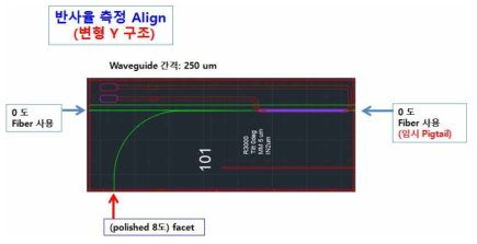 변형 Y 구조 폴리머 칩