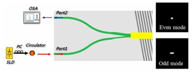 (a) Asymmetric Y-branch와 기울어진 브래그 격자를 이용한 파장가변 필터 특성 확인을 위한 실험 측정 셋업