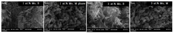 전구체를 SM으로 Mo의 첨가 함량에 따라 수열 합성된 Mo-doped VO2(B)와 열변환된 Mo-doped VO2(M) 분말의 SEM image들