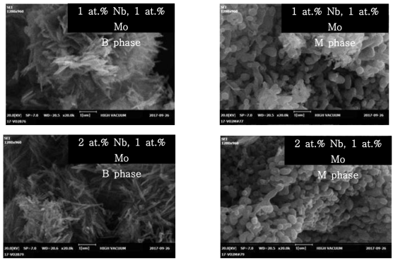 APM을 Mo의 전구체로 첨가된 Nb와 Mo의 함량에 따른 수열 합성된 Nb/Mo-codoped VO2(B)와 열변환된 Nb/Mo-codoped VO2(M)의 SEM image들