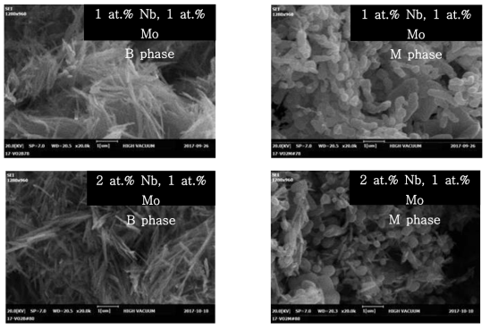 SM을 Mo의 전구체로 첨가된 Nb와 Mo의 함량에 따른 수열 합성된 Nb/Mo-codoped VO2(B)와 열변환된 Nb/Mo-codoped VO2(M)의 SEM image들