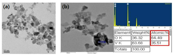 코팅 용액내 분산된 VO2 분말의 (a)FE-TEM 사진 및 (b)EDS 분석결과