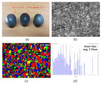 EBSD 측정용 제작 시편과 EBSD 측정 데이터 (a) EBSD용 측정용 제작 시편 (b) SEM 표면 (c) EBSD 결정 경계 표시 (d) 결정 크기 분포