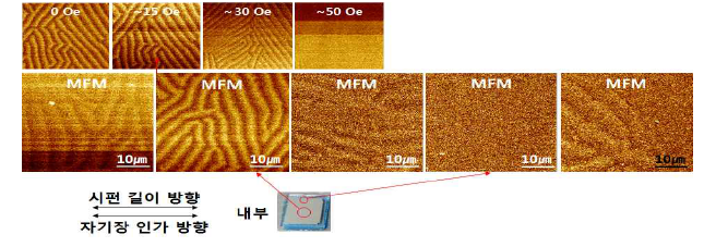 승온조건(450℃-50℃/min)에서 FeBCuP계 시편의 내부 MFM 이미지