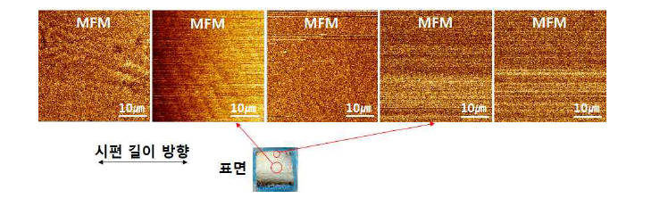 승온조건(480 ℃-50 ℃/min)에서 FeBCuP계 시편의 내부 MFM 이미지
