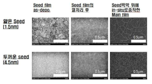 In-situ로 증착한 STO의 하부 seed박막의 주사전자 현미경 이미지