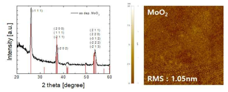 MoO2 박막의 XRD 결과 및 AFM 표면 분석 결과