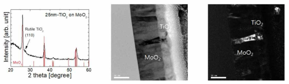 MoO2 기판에 형성한 TiO2의 XRD 결과 및 TEM 분석 결과