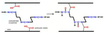 Modified 카보디이미드 경화제 메카니즘