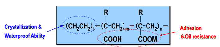 수성 Ionomer