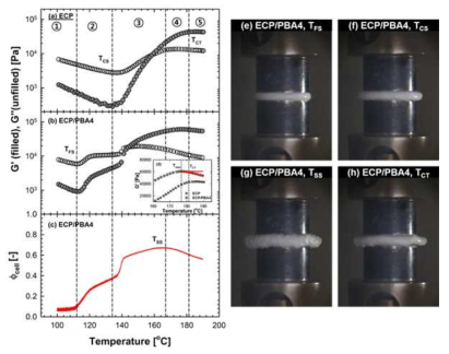 (a) ECP, (b) ECP/PBA4 의 온도에 따른 저장탄성률 G′과 손실탄성률 G″발달. (c) ECP/PBA4의 온도에 따른 φcell발달. (d) ECP와 ECP/PBA4의 Tmax 발달 경향 비교. 카메라를 이용해 얻어진 ECP/PBA4 시료의 각 임계온도에서의 영상 (e) TFS, (f)TCS, (g)TSS, (h)TCT