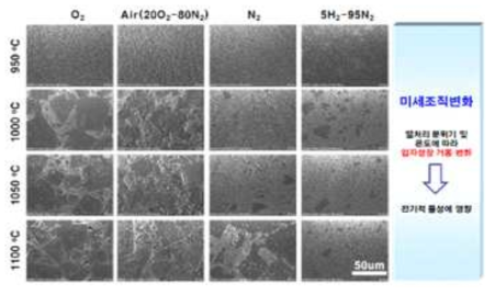 분위기 소결에 따른 미세조직 변화