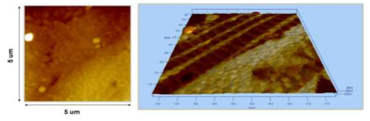 KNN계 소재의 도메인 구조 관찰 결과 (J. Appl. Phys., 112, 052005 (2012))