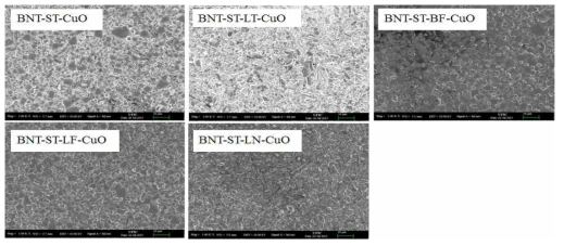 1050℃에서 소결한 BNT계 세라믹스의 미세구조 분석결과 (모든 시료가 치밀한 미세조직을 나타내어 저온소성이 가능함을 보여주는 결과)