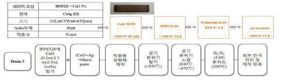 CuAg/BNST 적층 소자 공기 분위기 소결 을 위한 제작 프로세스 3