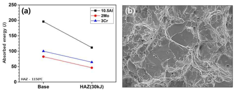 (a) 저온 충격 실험 결과, (b) LJ10 용접 열영향부 파단면