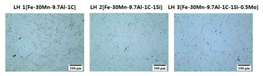 광학현미경(Optical Microscope, OM)을 통해 관찰한 용체화 처리된 LH 합금의 미세조직